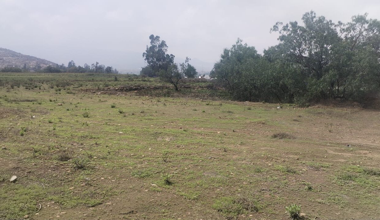 TERRENO YARABAMBA FOTO 11