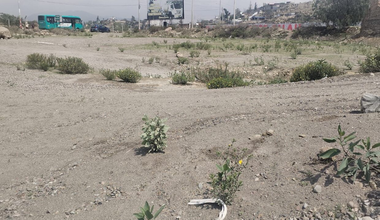 TERRENO YARABAMBA FOTO 2
