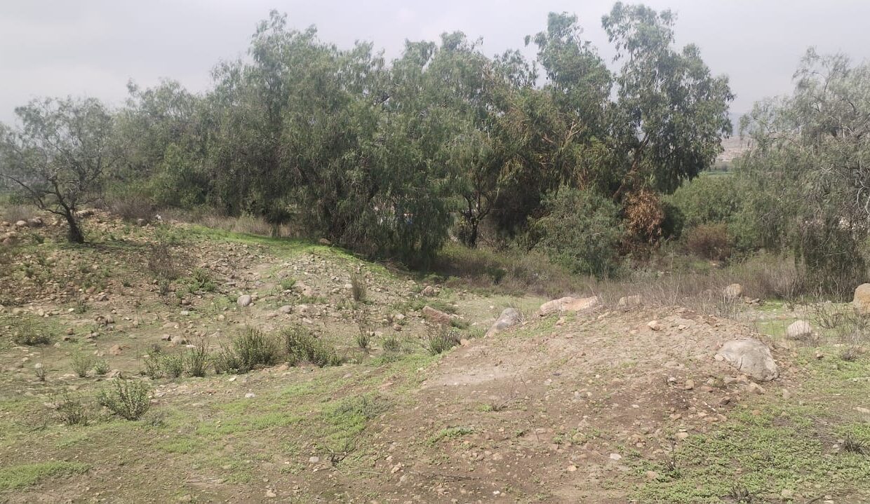 TERRENO YARABAMBA FOTO 3