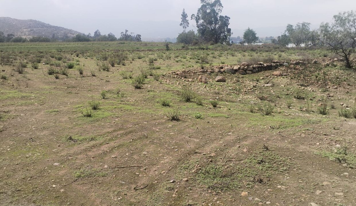 TERRENO YARABAMBA FOTO 4