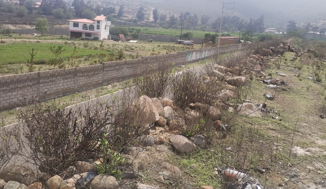 TERRENO YARABAMBA FOTO 5