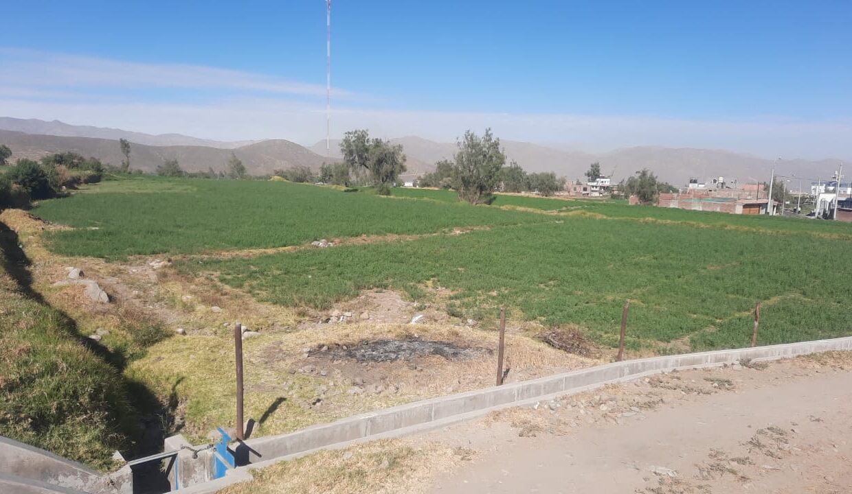 TERRENO EN VENTA YANAYACO 4000 M2  I