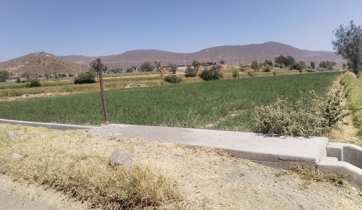 TERRENO EN VENTA YANAYACO 4000 M2 XIII